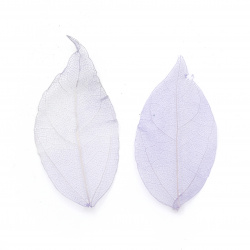 Not Available Online. You can also buy at EM ART stores and at 0884400631 Skeletal leaves 60x20 ~ 90x45 mm for decoration color purple -20 pieces