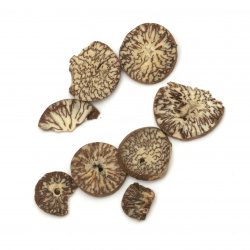 Washer nutmeg for decoration ~ 20 mm -20 grams