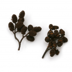 Natural dried mini alder branches - 10 grams