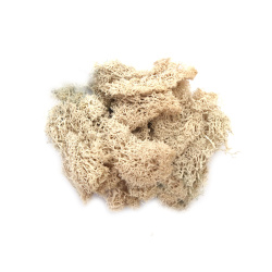 Βρύα polar moss για μακέτες και διακόσμηση, λευκά -10 γραμμάρια