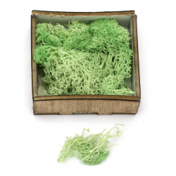 Scandinavian polar moss for decoration, light green - 10 grams