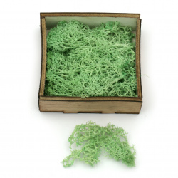 Scandinavian polar moss for decoration, green - 10 grams