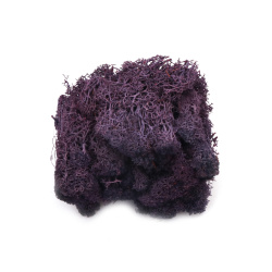 Scandinavian polar moss for decoration,  dark purple - 10 grams
