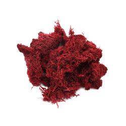 Scandinavian Polar Moss for Decoration and Hobby Crafts, Cherry Color