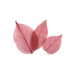 Skeleton Leaves for Decoration /  60x20~90x45 mm / Color: Cherry - 20 pieces