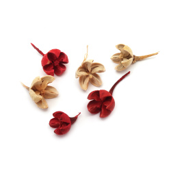 Φυσικά αποξηραμένα άνθη για διακόσμηση 20~15x30~20 mm χρώμα φυσικό και κόκκινο - 20 γραμμάρια