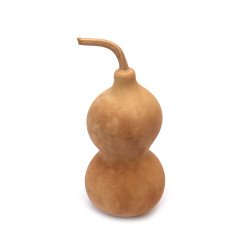 Decorative Gourd 100~140x55~75 mm