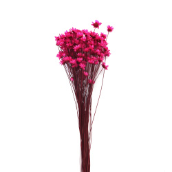 Glixia Dried Flower Bouquet for Decoration, Cyclamen Color ~150 Pieces