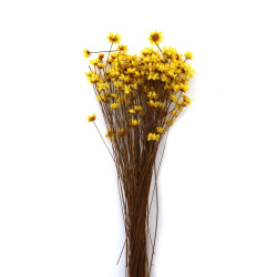 Glixia Dried Flower Bouquet for Decoration, Yellow Color ~150 Pieces