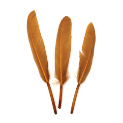 Feather 100~150x15~20 mm, color tobacco - 10 pieces