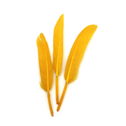 Beautiful Dark Yellow / Orange Color Feathers 100~150x15~20 mm – Set of 10, Perfect for Artistic Decorations, Fashion Accessories, and Creative Crafts