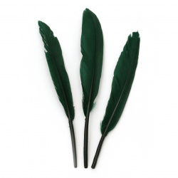 Φτερό διακοσμητικό  100 ~ 150x15 ~ 20 mm πράσινο λαδί -10 τεμάχια