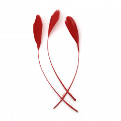 Goose Feathers for Decoration, color Red 130~190x12~38 mm -10 pieces