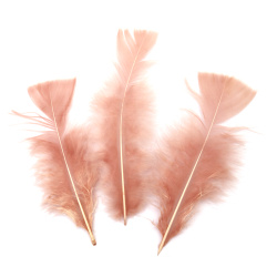 Feathers for Decoration color rose ash 120~170x35~40 mm - 10 pieces
