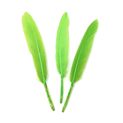 Перa за декорация цвят зелен светло 100~150x15~20 мм -10 броя