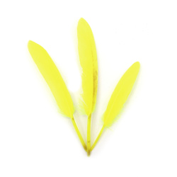 Neon Yellow Feathers for Decoration, 100~150x15~20 mm - 10 Pieces