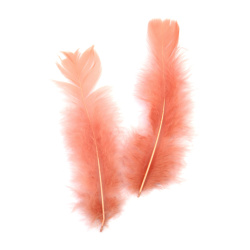 Feathers for Decoration, Salmon Color, 120~170x35~40 mm - 10 Pieces