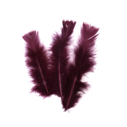 Pene decorative, culoare violet închis, 120~170x35~40 mm - 10 bucăți