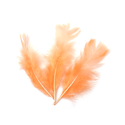 Pene Decorative Moi 120–170 x 35–40 mm, culoare piersică – Set 10 buc. pentru craft elegant, decor romantic și proiecte creative handmade