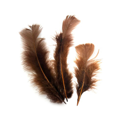 Διακοσμητικά Φτερά 120~170 x 35~40 mm – Χάλκινο Καφέ, Σετ 10 τμχ για Φθινοπωρινές Χειροτεχνίες, Ρουστίκ Διακοσμήσεις & Κομψές Δημιουργίες