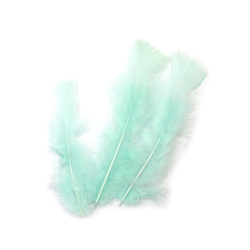 Fresh Decorative Feathers 120~170x35~40 mm – Mint Color, Set of 10 for Spring Crafts, Festive Décor & Creative DIY Projects