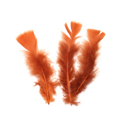 Pene decorative în tonuri calde 120~170 x 35~40 mm – culoare scorțișoară, set 10 buc., pentru craft rustic, decorațiuni de toamnă și proiecte DIY naturale