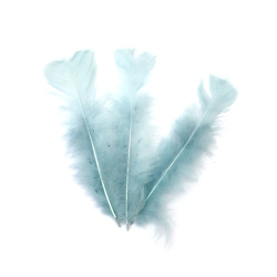 Soft Decorative Feathers 120~170x35~40 mm – Pastel Blue Color, Set of 10 for Gentle Decorations, Baby Showers & Creative DIY Projects
