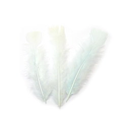 Decorative Feathers 120~170x35~40 mm – Pale Blue Color, Set of 10 for Gentle Decorations, Baby Showers & Elegant Crafts