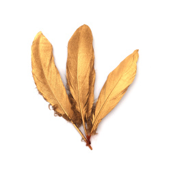 Glamorous Decorative Feathers 120~170x35~40 mm – Gold Color, Set of 4 for Festive Decorations, Elegant Crafts & Stylish Event Designs