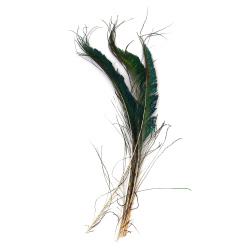 Pene de Păun Luxoase 350–400 mm – Set de 5 bucăți pentru decorațiuni elegante, creații artistice, proiecte DIY și decor de evenimente