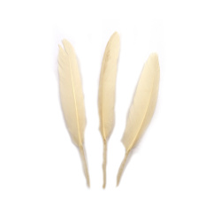 Decorative Feathers 100~150x15~20 mm – Champagne Color, Set of 10 for Wedding Dеcor, Festive Crafts & Stylish DIY Projects