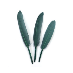 Elegant Decorative Feathers 100~150x15~20 mm – Teal Color, Set of 10 for Stylish Crafts, Floral Arrangements & Creative Decorations