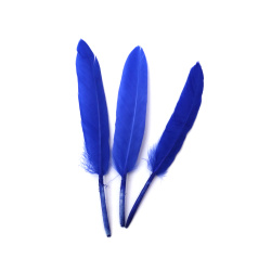 Decorative Feathers 100~150x15~20 mm – Royal Blue Color, Set of 10 for Elegant Crafts, Festive Decorations & Creative Projects