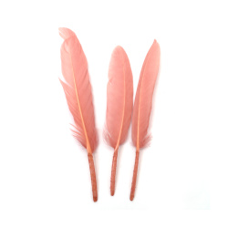Pene decorative delicate 100–150 x 15–20 mm – roz pastel, set de 10, pentru crafturi romantice, decor de nuntă și proiecte DIY