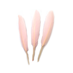 Delicate Decorative Feathers 100~150x15~20 mm – Pale Pink Color, Set of 10 for Wedding Décor, Baby Showers & Elegant Craft Projects