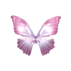 Organza fluture pentru decor 100x80 mm culoare violet melange - 5 buc
