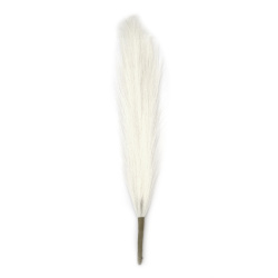 Pampas Grass Bouquet for Decoration, 400 mm, White Color - 7 Stems