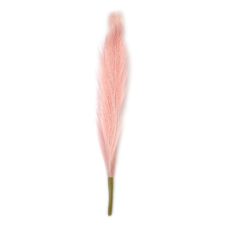 Pampas Grass Bouquet for Decoration, 400 mm, Pink Color - 7 Stems