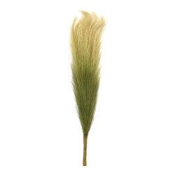 Pampas Grass Bouquet for Decoration, 400 mm, Green Color - 7 Stems