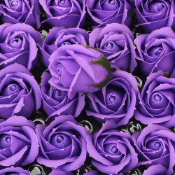 Soap-Scented Rose, Purple Color, 50 mm