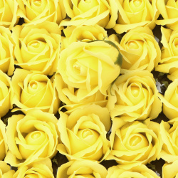 Soap-Scented Rose, Light Yellow Color, 50 mm