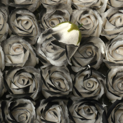 Soap-Scented Rose, White and Black Melange Color, 50 mm