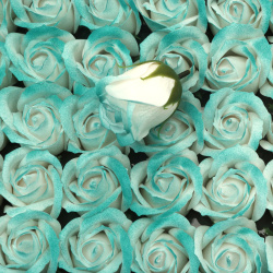 Soap-Scented Rose, White and Turquoise Melange Color, 50 mm