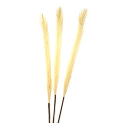 Creangă de iarbă de pampas pentru decor 460 mm culoare crem - 3 bucăți