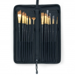 Set of professional brushes in a case - 15 pieces