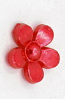 Perla pentru lipirea florii 11x2 mm roșu -50 bucăți