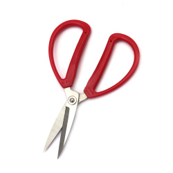 Stainless Steel Scissors with Plastic Handles (model 2002), 17x9.5 cm