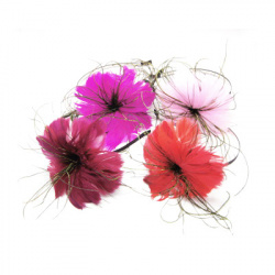Not Available Online. You can also buy at EM ART stores and at 0884400631 Tiara metal with feathers 13.5x15 cm colorful