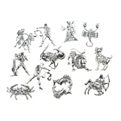 Brooch metal with crystals 20x25 mm color silver ZODIACS 12 pieces