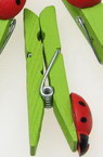 Colored Wooden Pegs decorated with Ladybugs / 7x46 mm / Green and Red - 10 pieces